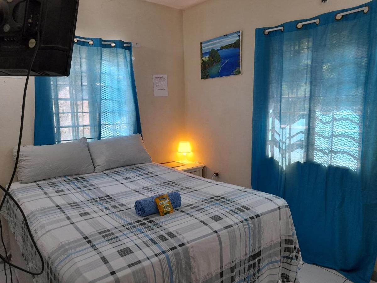 Camelia Rooms キングストン エクステリア 写真