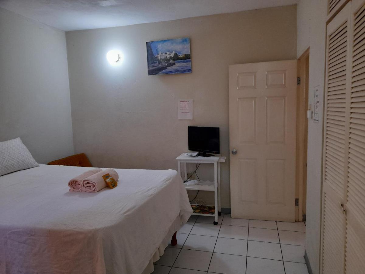 Camelia Rooms キングストン エクステリア 写真